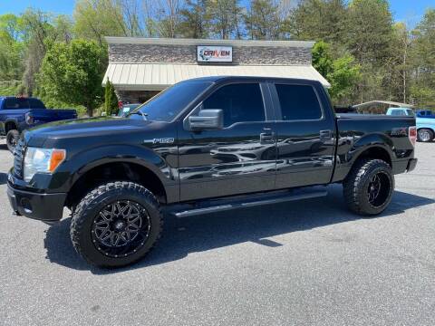 2014 Ford F-150 for sale at Driven Pre-Owned in Lenoir NC