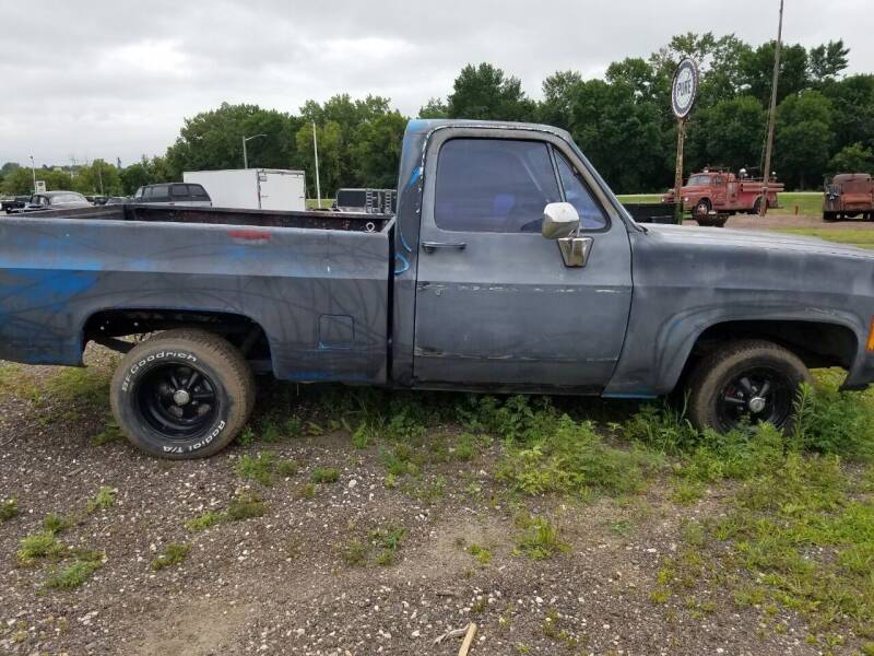 1979 Chevrolet C/K 10 Series for sale at Pro Auto Sales and Service in Ortonville MN