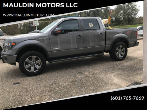 2014 Ford F-150 for sale at MAULDIN MOTORS LLC in Sumrall MS