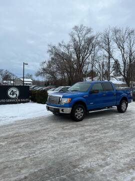 2011 Ford F-150 for sale at Station 45 Auto Sales Inc in Allendale MI