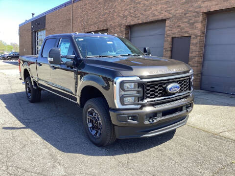 2024 Ford F-250 Super Duty for sale at Everyone's Financed At Borgman in Grandville MI