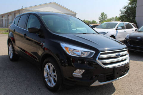 2019 Ford Escape for sale at SHAFER AUTO GROUP in Columbus OH