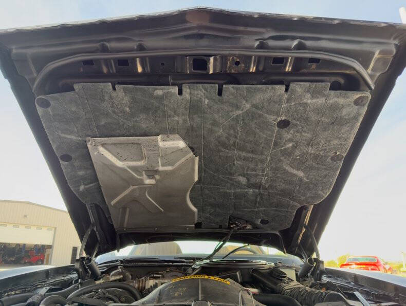 1981 Pontiac Firebird Trans Am