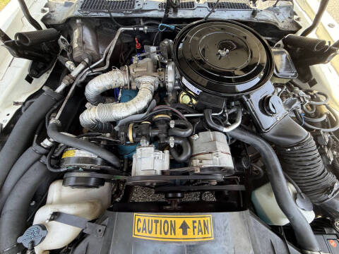 1981 Pontiac Firebird Trans Am