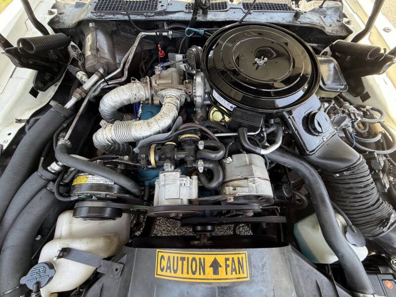 1981 Pontiac Firebird Trans Am