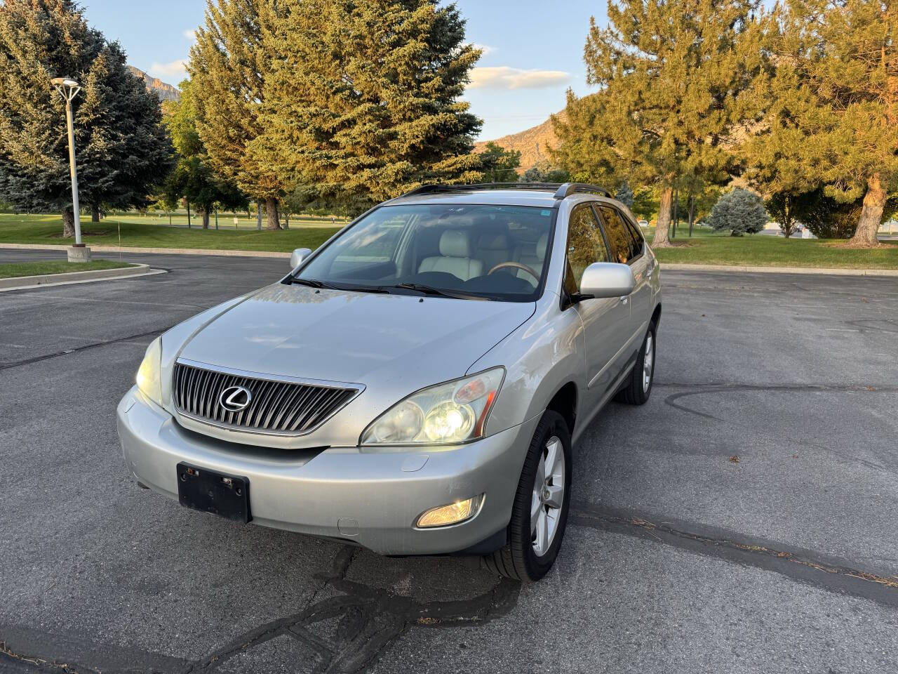 Silver 2007 Lexus RX 350 Base AWD 4dr SUV 1