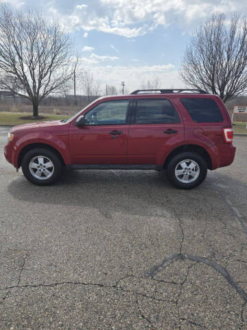 2010 Ford Escape XLT