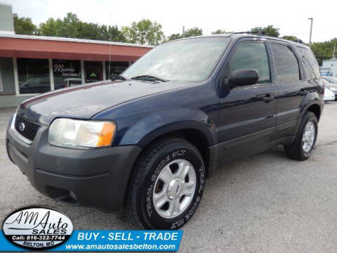 2003 Ford Escape for sale at A M Auto Sales in Belton MO