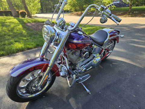 2006 Harley-Davidson FLSTFSE2