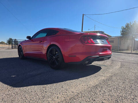 2019 Ford Mustang EcoBoost