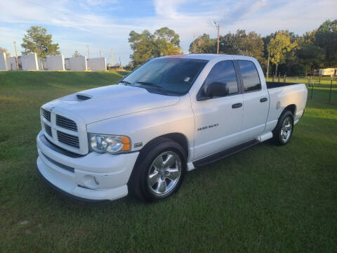 2003 Dodge Ram Pickup 1500 for sale at Lakeview Auto Sales LLC in Sycamore GA