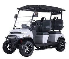 2025 Denago Rover XL Lithium for sale at East Beach Cart Company Sales & Rentals - Denago in Norfolk VA