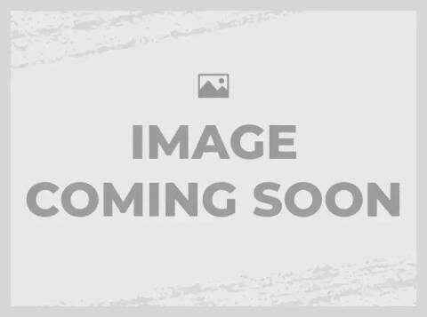 2026 Honda TRX90X