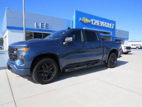 2024 Chevrolet Silverado 1500 for sale at LEE CHEVROLET PONTIAC BUICK in Washington NC