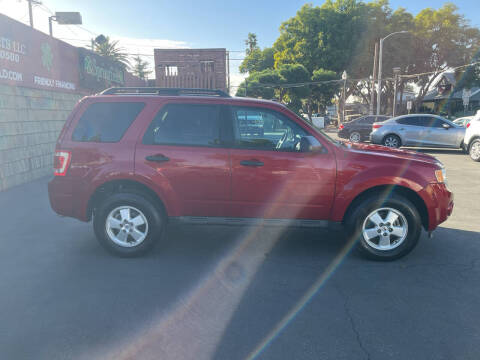 2011 Ford Escape XLT