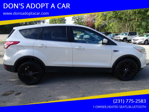 2013 Ford Escape for sale at DON'S ADOPT A CAR in Cadillac MI