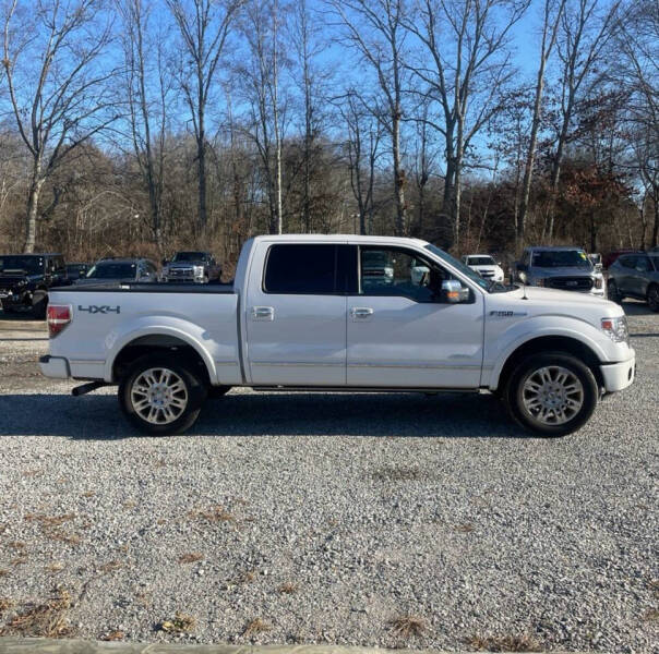 2013 Ford F-150 Platinum photo 7