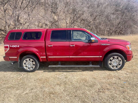 2010 Ford F-150 for sale at Iowa Auto Sales, Inc in Sioux City IA