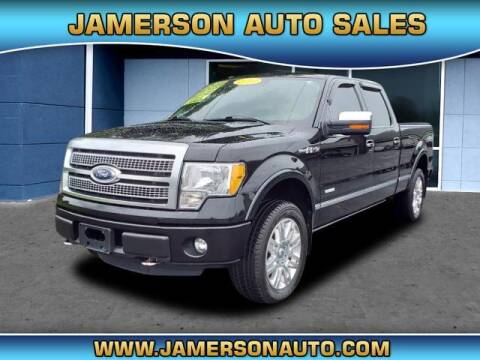 2012 Ford F-150 for sale at Jamerson Auto Sales in Anderson IN