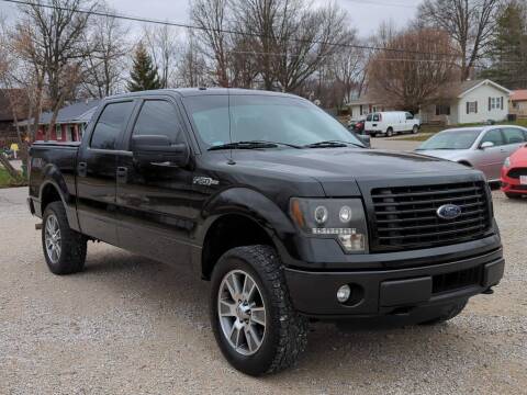 2014 Ford F-150 for sale at Bob Walters Linton Motors in Linton IN