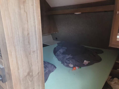 2020 Coleman Travel Trailer