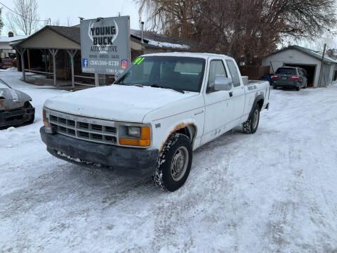 1991 Dodge Dakota for sale at Young Buck Automotive in Rexburg ID