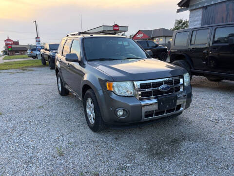 2010 Ford Escape Limited