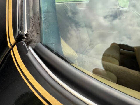 1981 Pontiac Firebird Trans Am