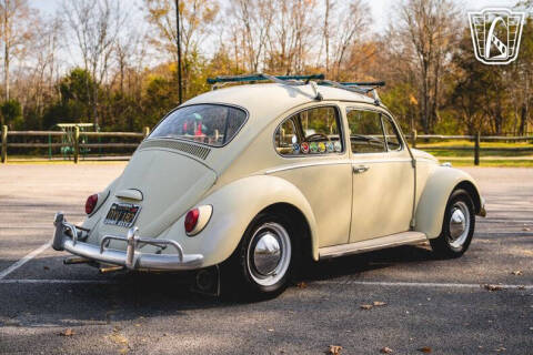 1965 Volkswagen Beetle