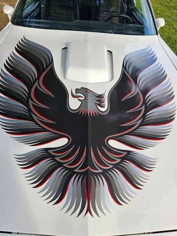 1981 Pontiac Trans Am