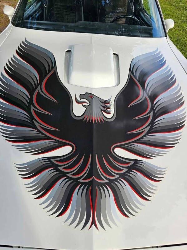 1981 Pontiac Trans Am