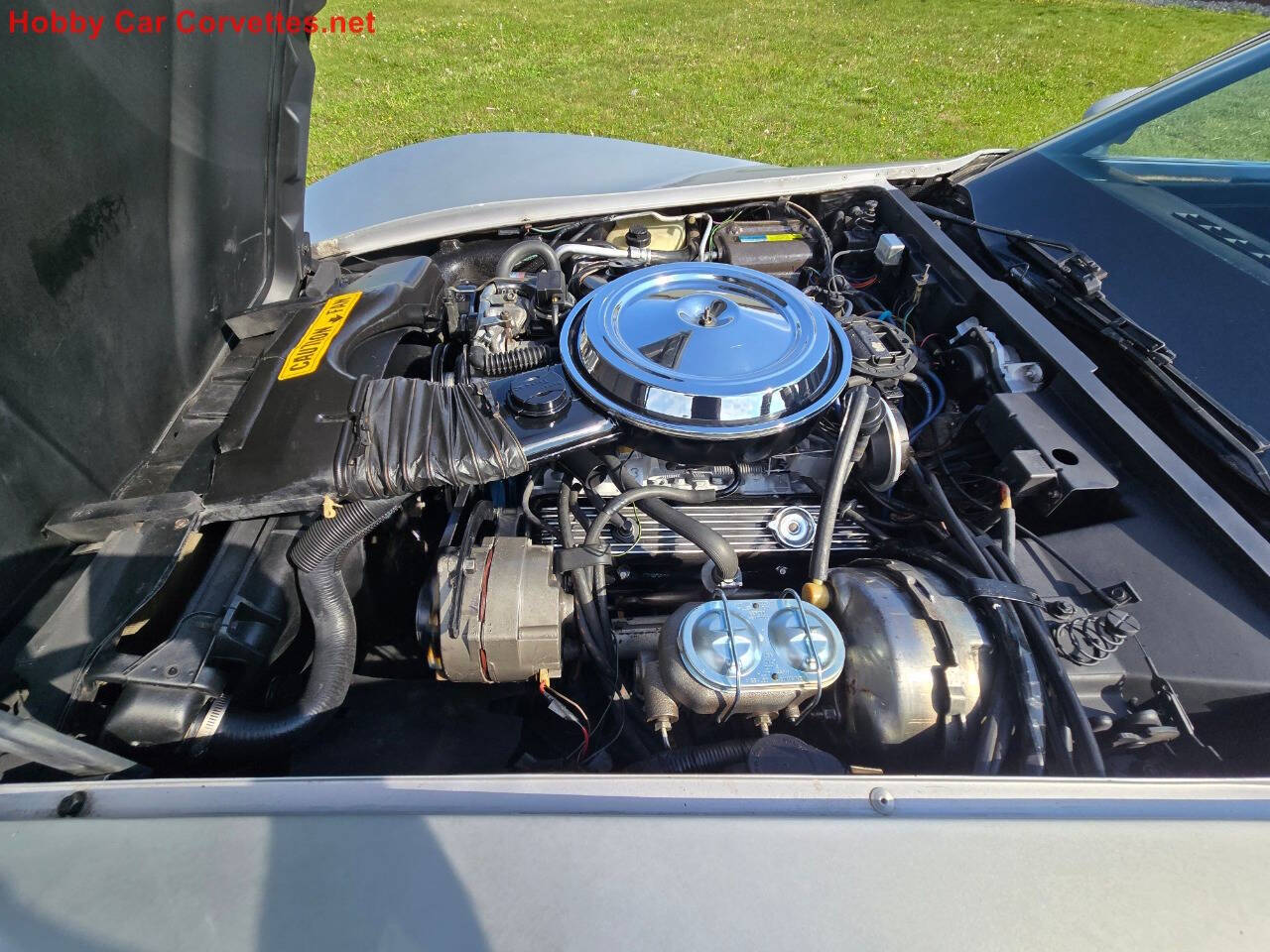 1981 Chevrolet Corvette 19