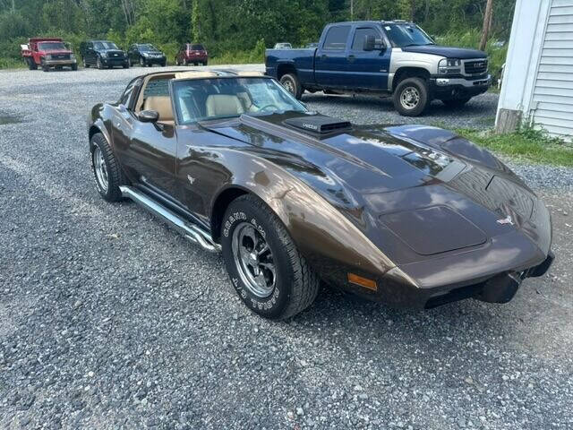 1979 Chevrolet Corvette for sale at Motors 46 in Belvidere NJ