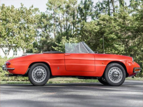 1966 Alfa Romeo Spider