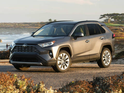 2019 Toyota RAV4 for sale at Express Purchasing Plus in Hot Springs AR