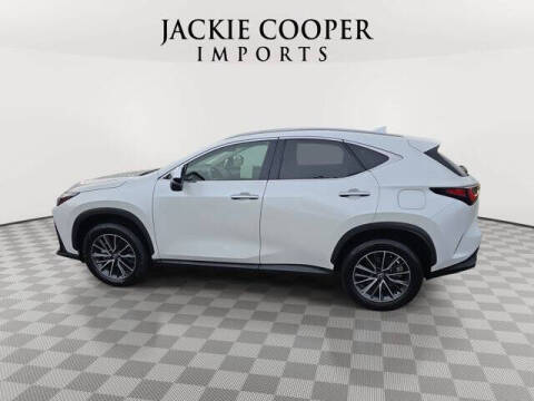 2025 Lexus NX 250