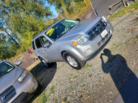 2011 Ford Escape XLT