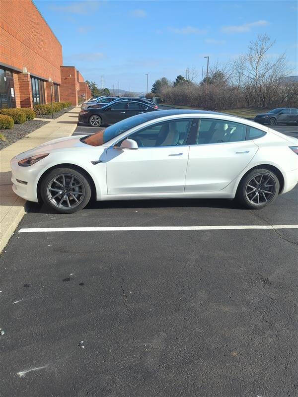 2019 Tesla Model 3 Base's photo