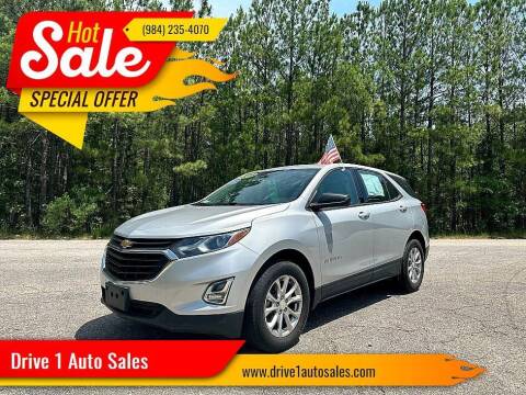 2018 Chevrolet Equinox for sale at Drive 1 Auto Sales in Wake Forest NC