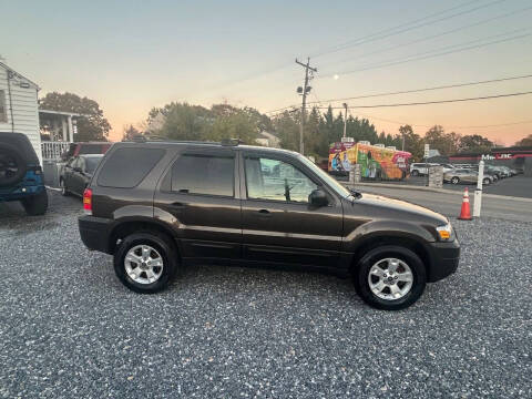 2006 Ford Escape XLT