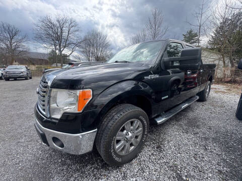 2011 Ford F-150