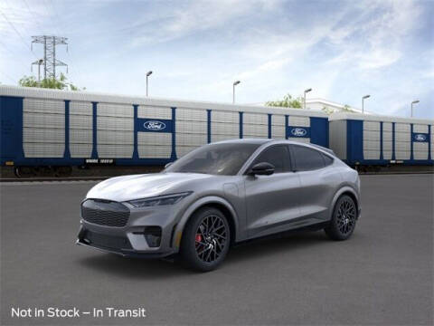 2023 Ford Mustang Mach-E for sale at Zeigler Ford of Plainwell - Jeff Bishop in Plainwell MI