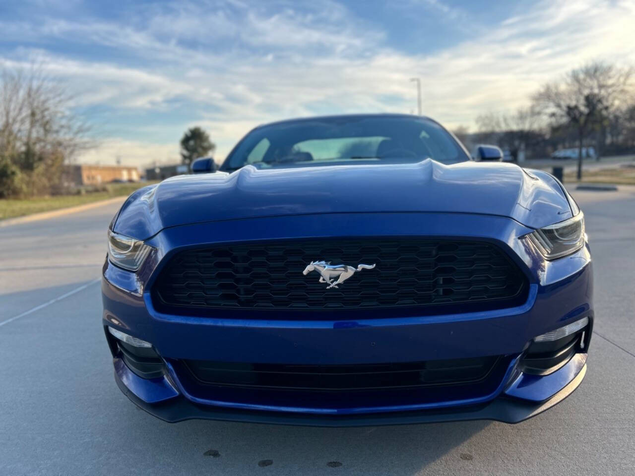 2016 Ford Mustang for sale at Auto Haven in Irving, TX