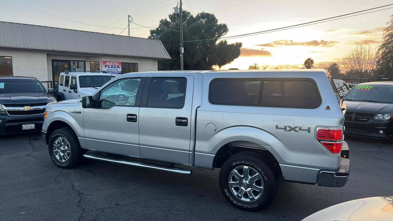 2010 Ford F-150 for sale at Auto Plaza in Fresno, CA