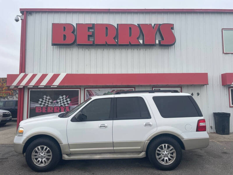 2010 Ford Expedition Eddie Bauer photo 1