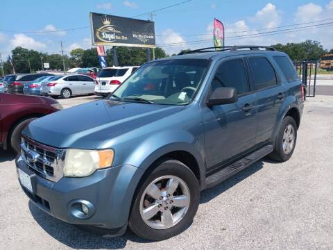 2010 Ford Escape for sale at ROYAL AUTO MART in Tampa FL