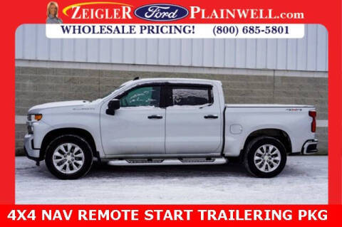 2020 Chevrolet Silverado 1500 for sale at Zeigler Ford of Plainwell in Plainwell MI