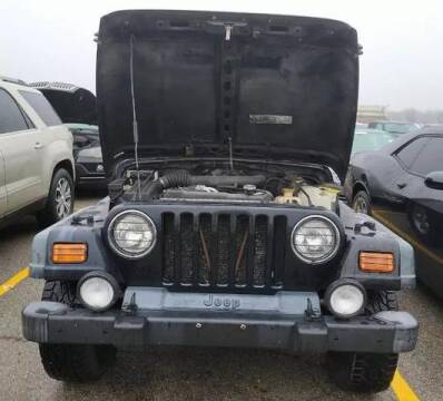2001 Jeep Wrangler for sale at CASH CARS in Circleville OH