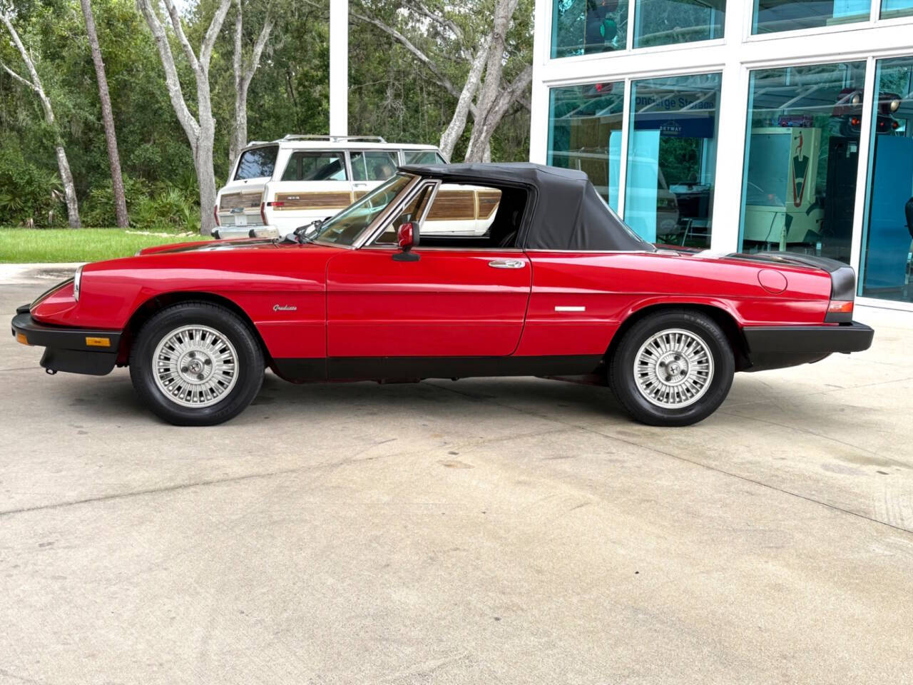 1986 Alfa Romeo Spider 21