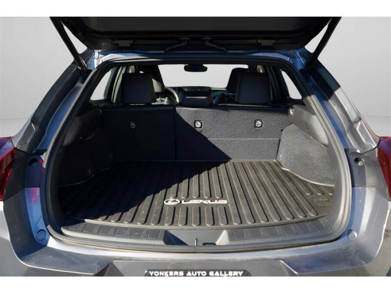 2020 Lexus UX 250h F SPORT